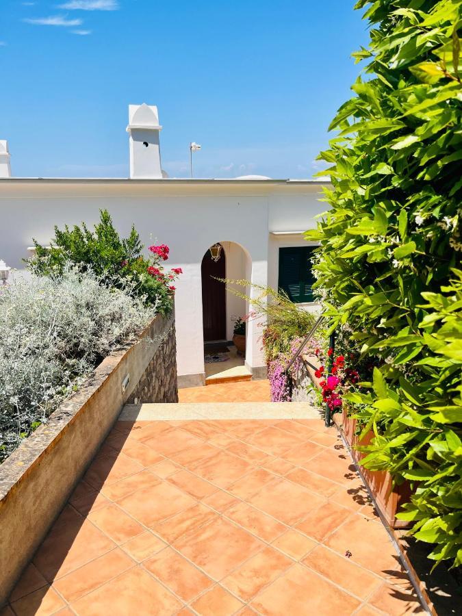 B&B L'Agapanto Capri Exterior foto
